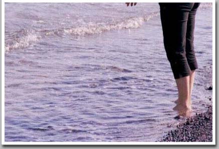 Seaside Stroll