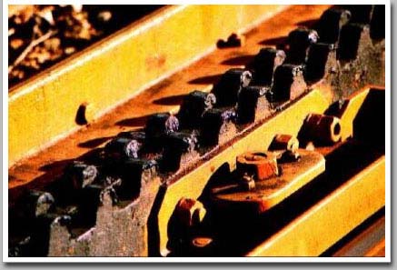 Tooth Rail