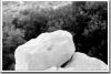 Solid Rock