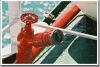 Red Hose