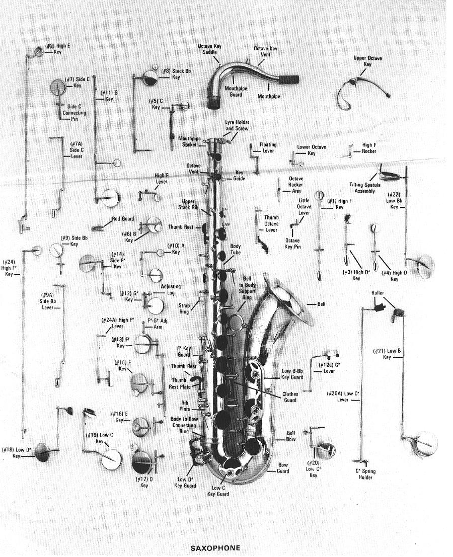 diagram of a saxophone parts of the saxophone diagram of a saxophone parts of the saxophone