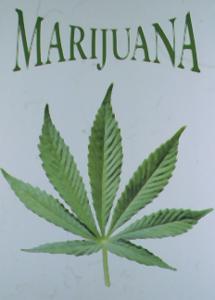 mmmm.......Marijuana