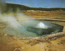 crested_pool