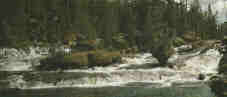 gibbon_river