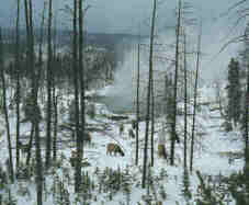 norris_back_basin