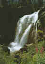 the_moose_falls