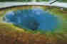 the_morning_glory_pool