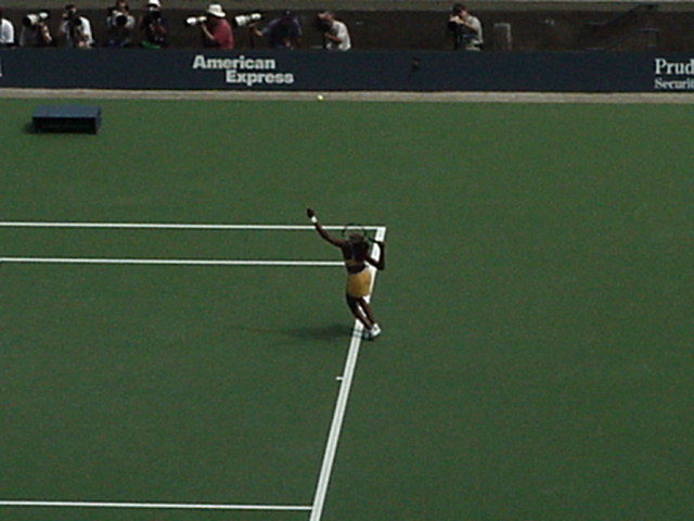 Venus Williams
