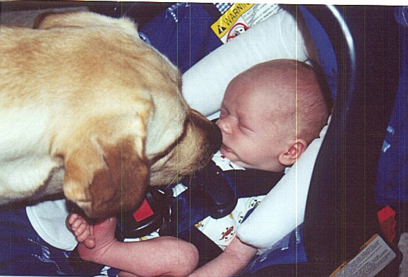 AJ meet Macy... Macy meet AJ