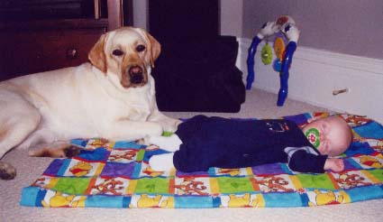 AJ's personal guard dog