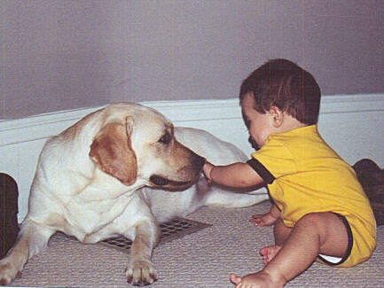 Dog training 101