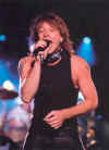 vest.jpg (11240 bytes)