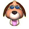 perro-3d_dog_face.gif