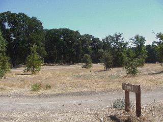 View from the cache.