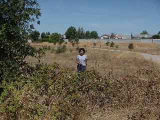 Aciu in the area.