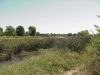 The marsh from the cache.