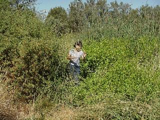 Aciu along the path.