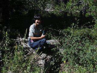 Aciu over cache