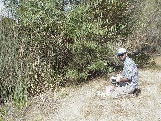John logging the cache.