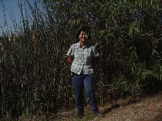 Aciu near the cache.