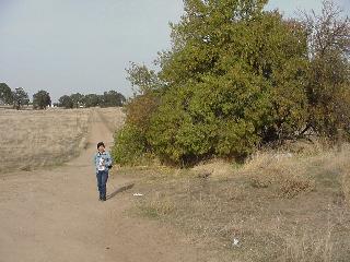 Aciu near the cache.