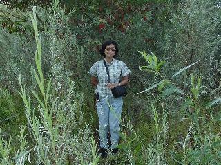 Aciu in the area of the cache.