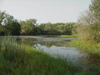 View from the cache.