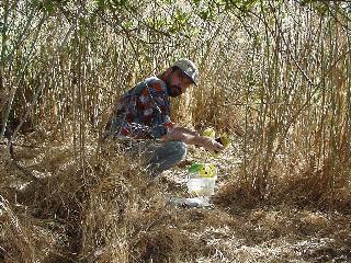 John with the cache.