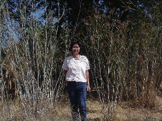 Aciu near the cache.