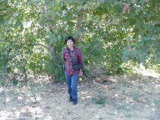 Aciu near the cache.