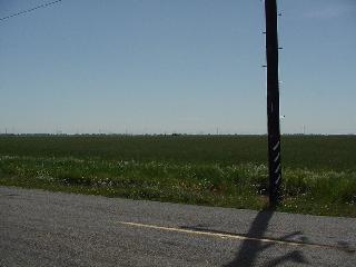 Just a few feet into the field.