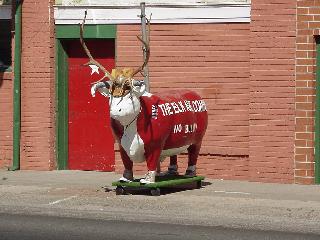 Cow w/ horns