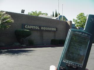 The front