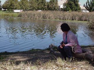 Aciu by creek in Elk Grove