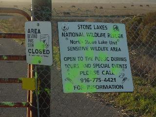 Stone Lakes NWR, Sacramento
