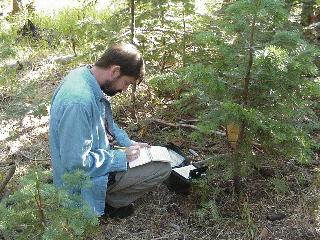 John logging the cache.