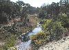 Nice Spot near New Cache