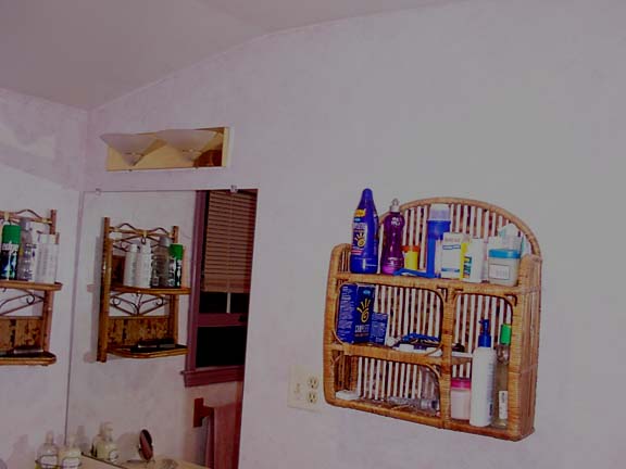 [Master Bathroom]