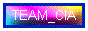 TEAM_CIA