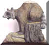 coon1.jpg (150534 bytes)