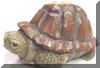 turtle1.jpg (129041 bytes)