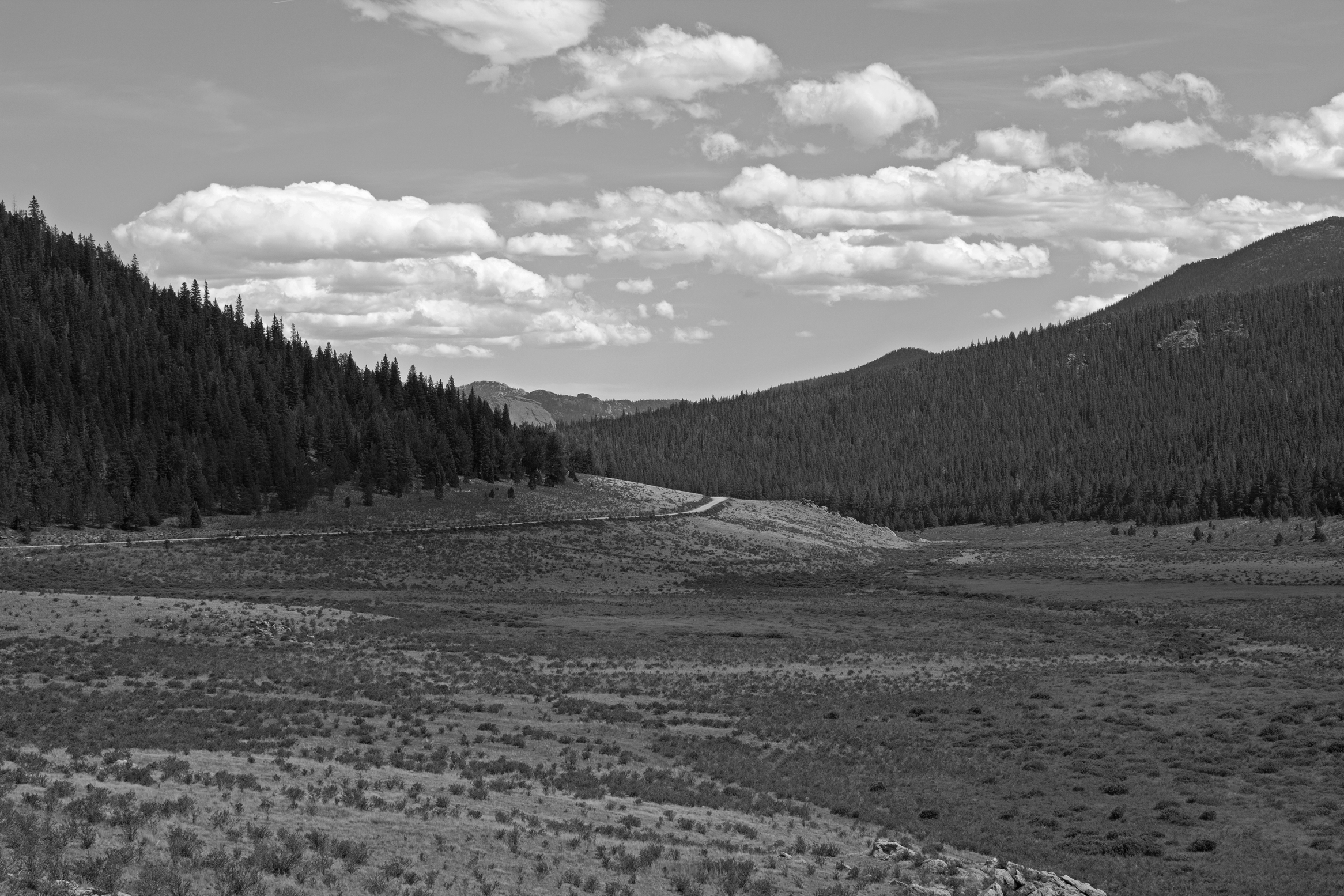 colorado_mountian_photo_project