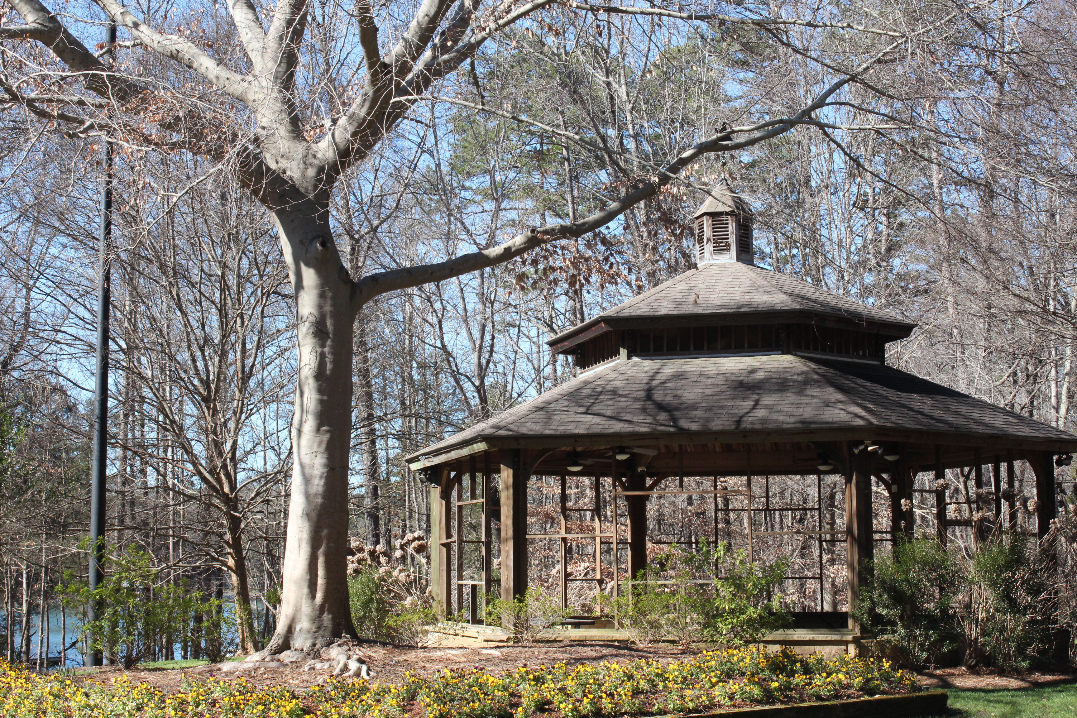Pergola