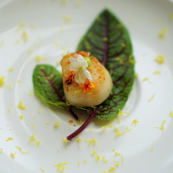 Scallops Dish