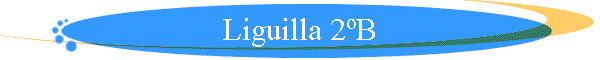 Liguilla 2�B