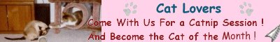 Become the 
Cat of the Month in Cat Lovers Page