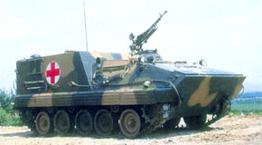 type85.jpg (16715 bytes)