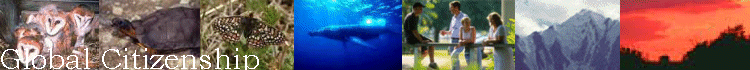 image16.gif (42568 bytes)