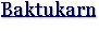 baktukarn.gif (1307 bytes)