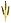 wheat.jpg (795 bytes)